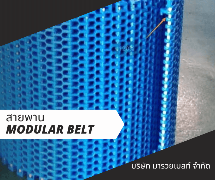 สายพาน modular belt