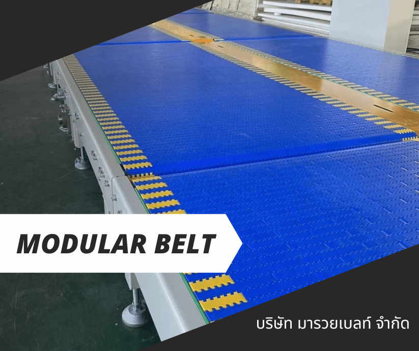 สายพานยางดำ modular